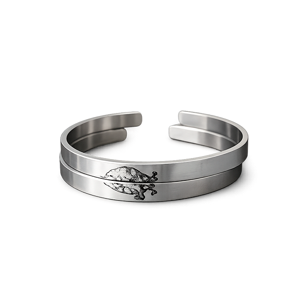 Cronica Brazalete (pareja)